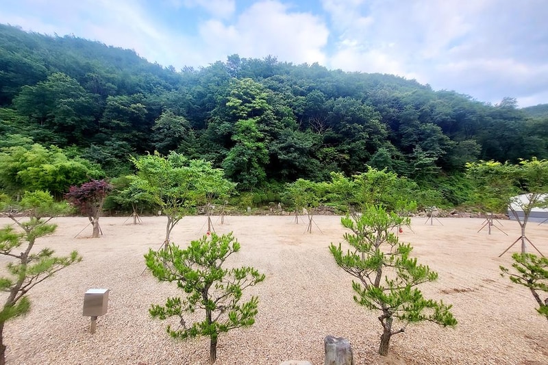 가은달빛캠핑장 시설 사진 6