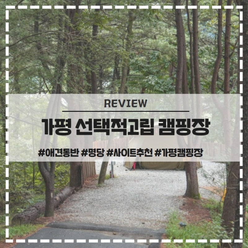 가평 선택적고립 캠핑장 애견동반 명당 사이트 추천