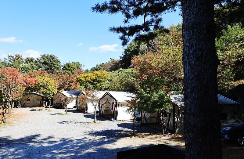 더 플래츠 글램핑 시설 사진 5