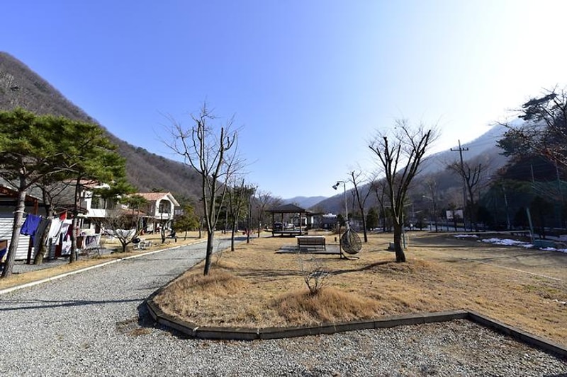 에이스카라반 대표 사진