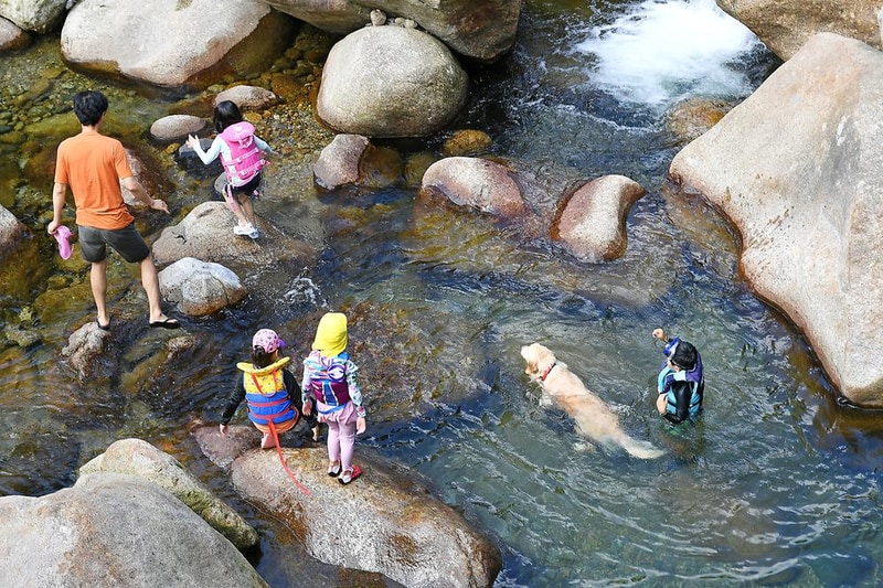 느티나무야영장 시설 사진 1