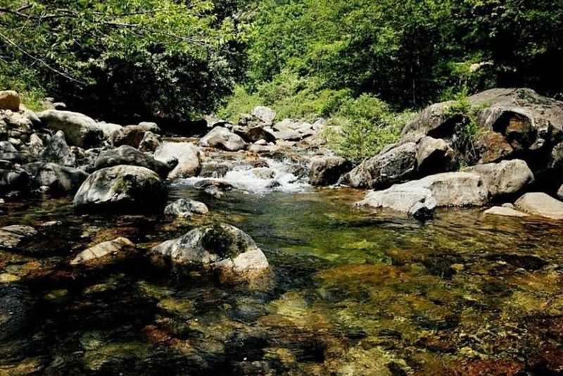 소백산자연누리야영장 시설 사진 1