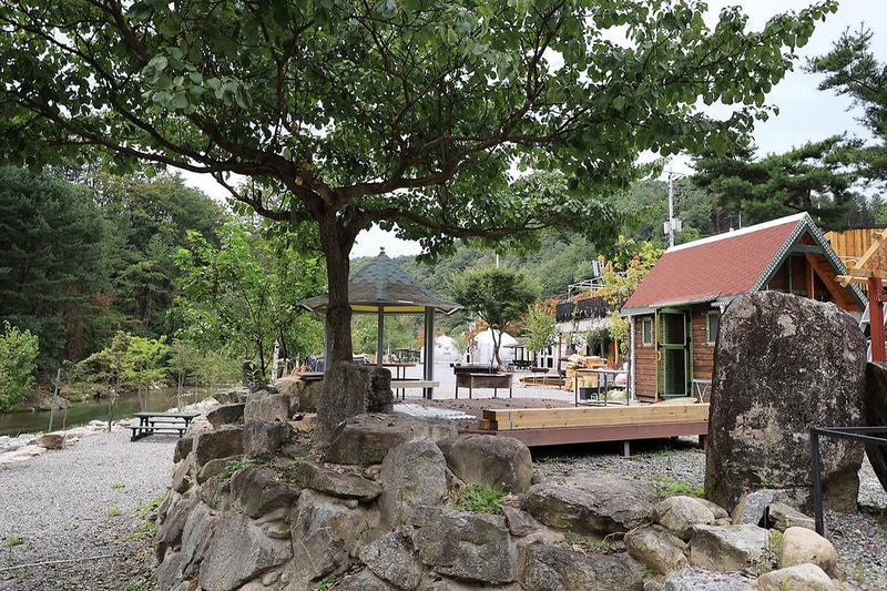 메기의 추억 시설 사진 14