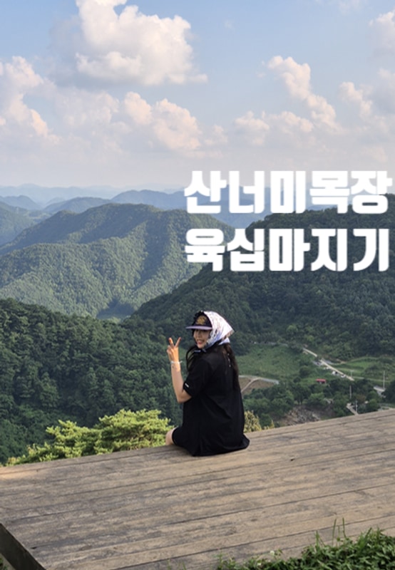 강원도 평창 여행::산너미목장, 캠핑이 이렇게 까지 좋았나 2편