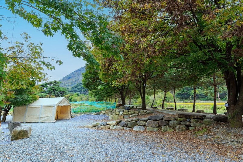 포레스트캐빈앤캠프 시설 사진 19