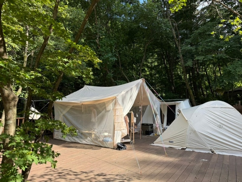 캠핑장계의 신라호텔 평창 휘게포레스트 계곡데크 애견동반