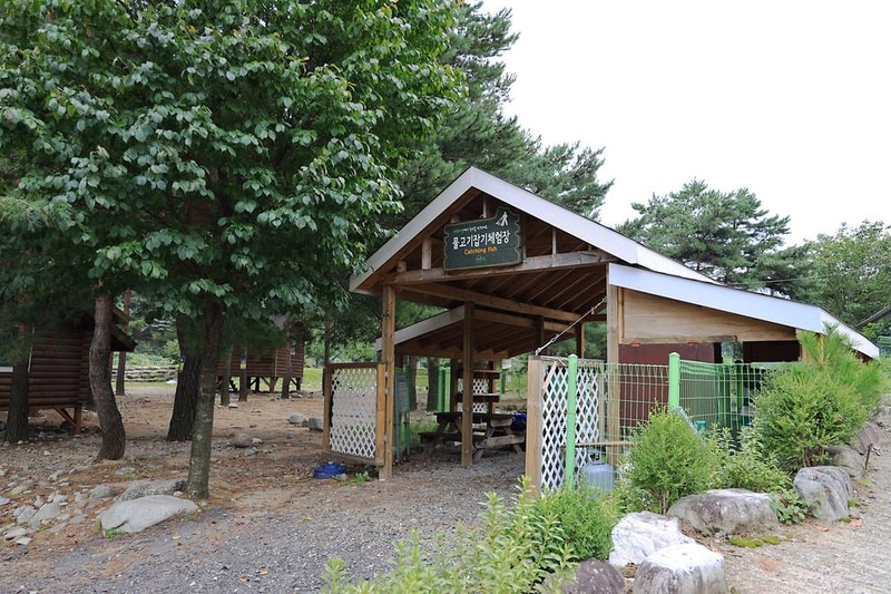 해담마을 야영장 시설 사진 1