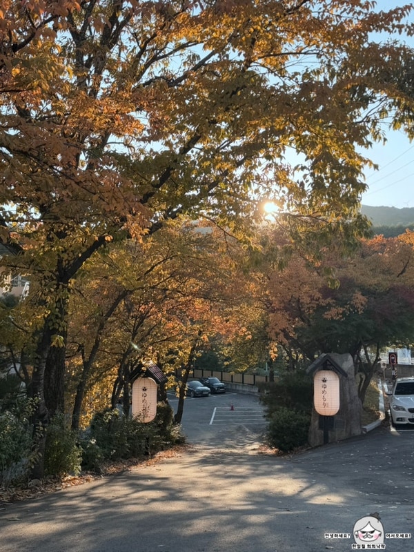 [강릉] 유메모리 캠핑장 후기