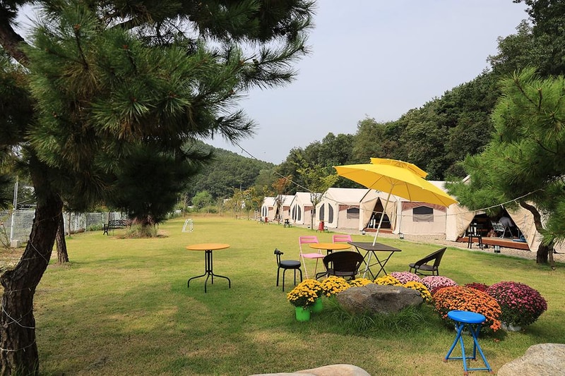 더휴글램핑 시설 사진 7