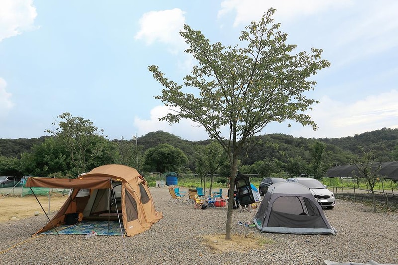 코끼리관광농원 시설 사진 13