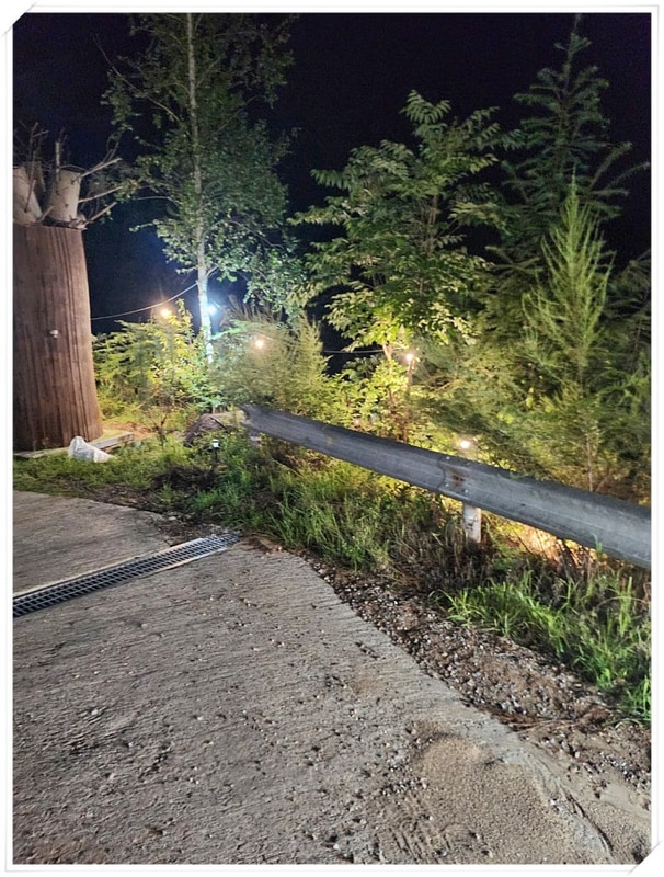 가족들과 오랜만에 숨 돌리고 온 홍천 캠핑장 알지캠프266