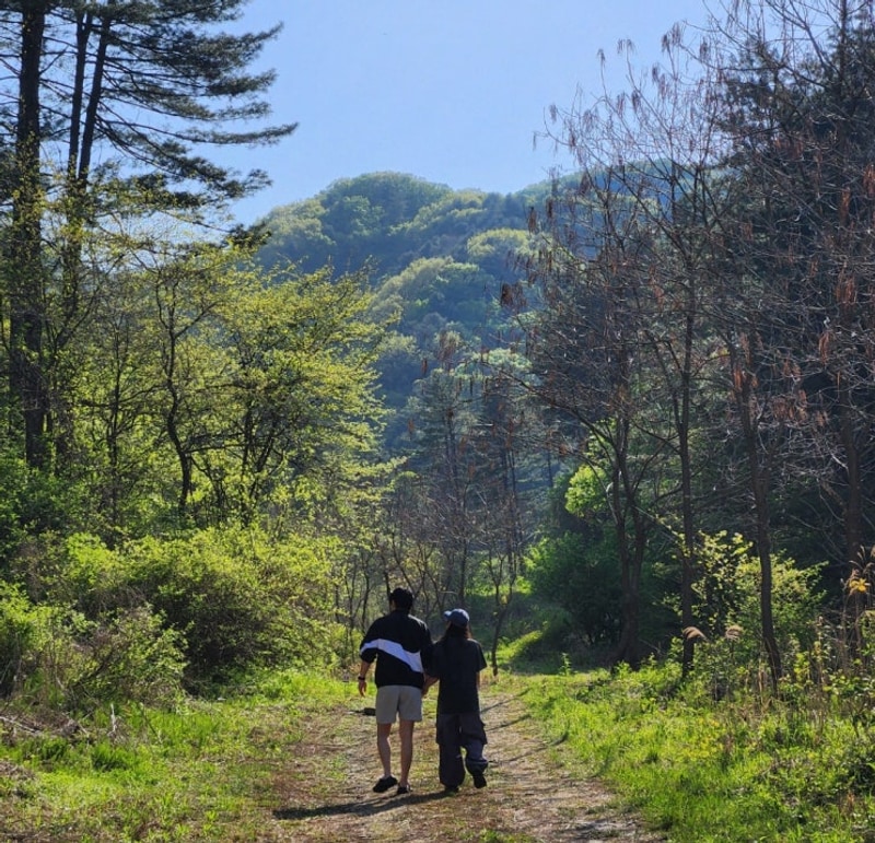 [포천] 포시즌스 오토캠핑장 (SPACE LOVE 사이트)