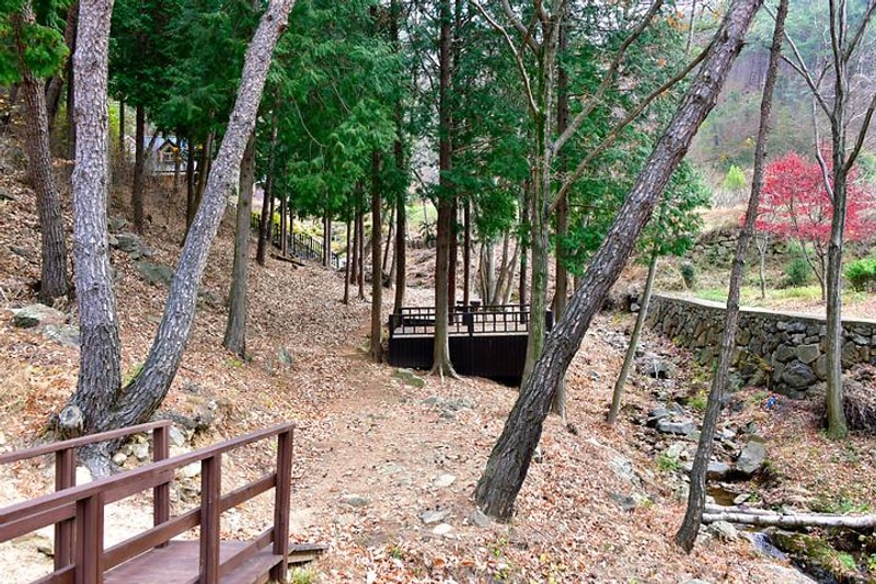 순천국민여가캠핑장 대표 사진