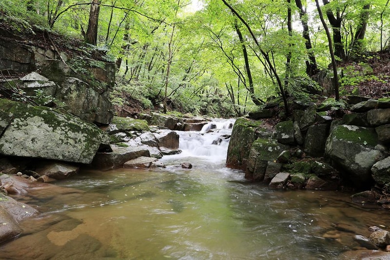 마루지 캠프 시설 사진 11