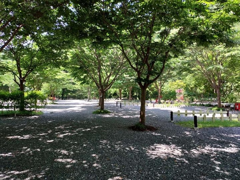 횡성산울림오토캠핑장 대표 사진