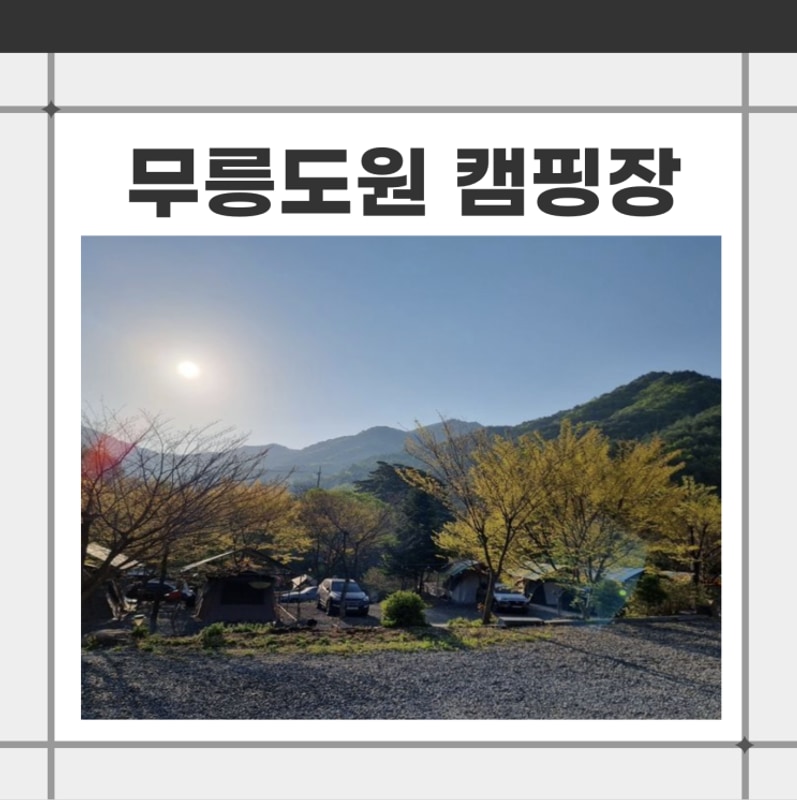 [강원도 영월 캠핑장자연]산과... 속 캠핑장 추천 무릉도원...