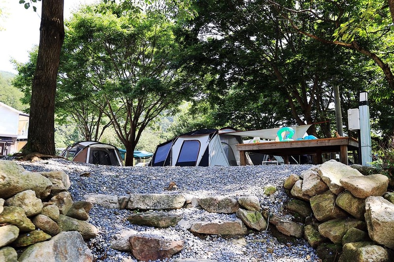 새솔캠핑장&펜션 시설 사진 1