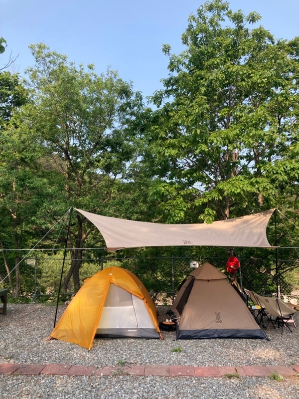 [양양] 강아지랑 함께하는 설악산 캠핑장 오색산새소리캠핑장...