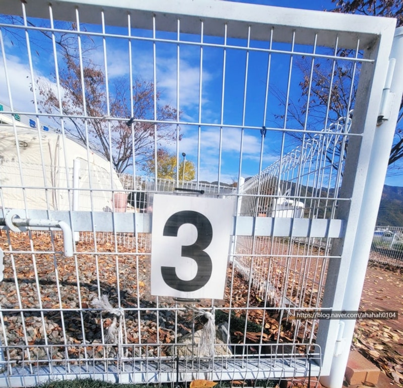 [청도캠핑장] 원더랜드 / 더치