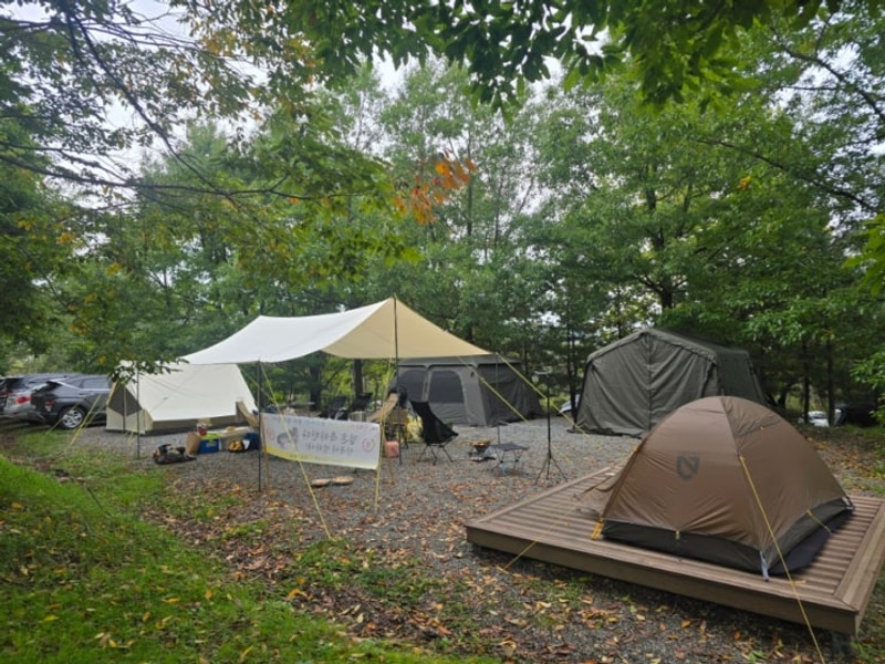[캠핑] 경남 합천 황매산 억제축제 황매산별쿵캠핑장 D1번 단체석