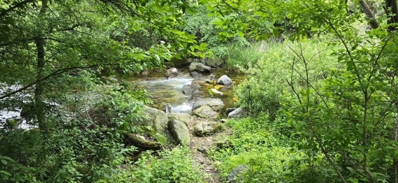 원주 치악신림오토캠핑장 : 이천 맛집 복채손만두