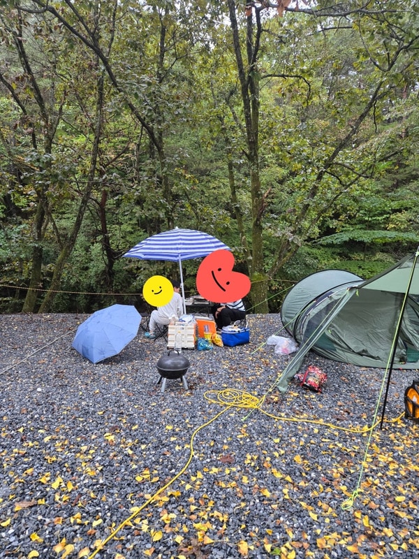 영월 블루밍캠프