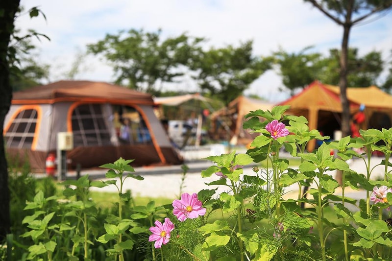 강화고인돌 캠핑장 시설 사진 12