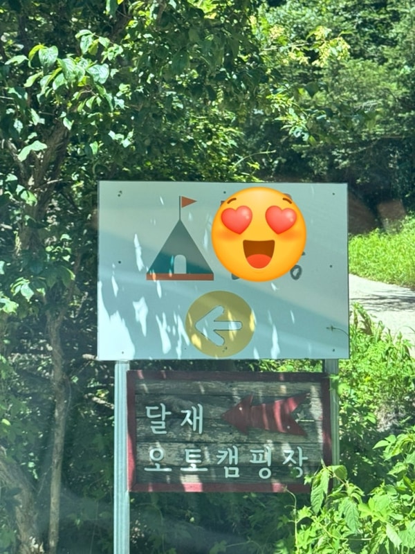 [충북제천 애견동반캠핑장]... 즐기는 여름휴가@달재오토캠핑장