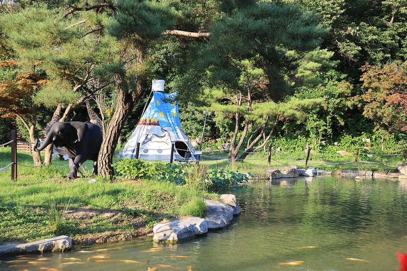 아프리카예술박물관 캠핑장 시설 사진 25