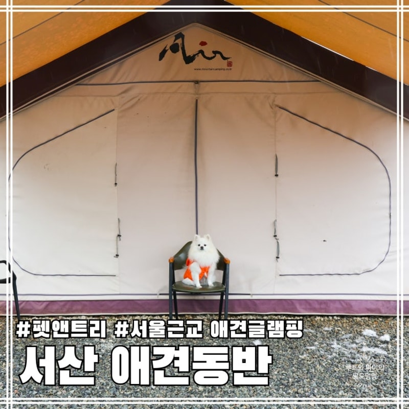 서울근교 애견동반 글램핑 서산 펫앤트리 대형견 가능