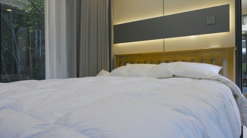 피톤치드 전남카라반 자연과 함께하는 우주선캠프 특별한 경험