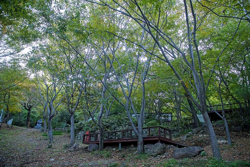 존제산 하느제 캠핑장 시설 사진 10