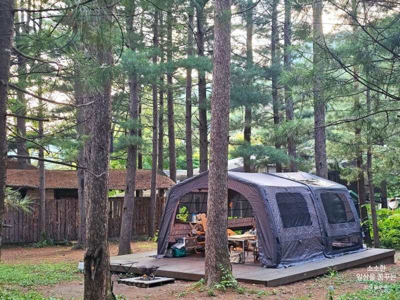 강원도 평창 캠핑장 휘게포레스트 A존 A15사이트 카즈미 KZM...