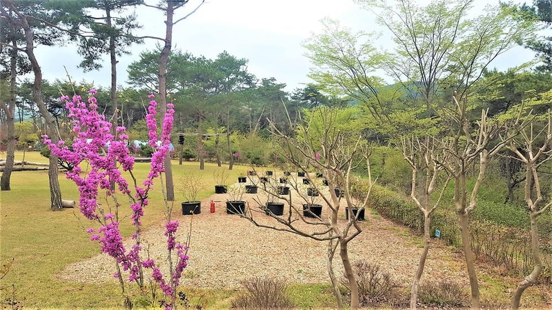 숲속의베리팜 시설 사진 21