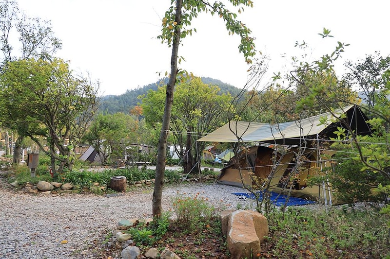 버드하우스 캠핑장 시설 사진 37