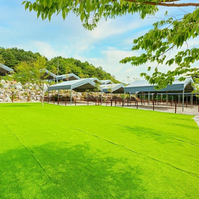 드루왈 캠핑장 시설 사진 21