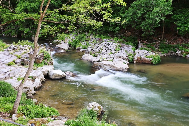 인제 스테이 밸리 캠핑 시설 사진 8