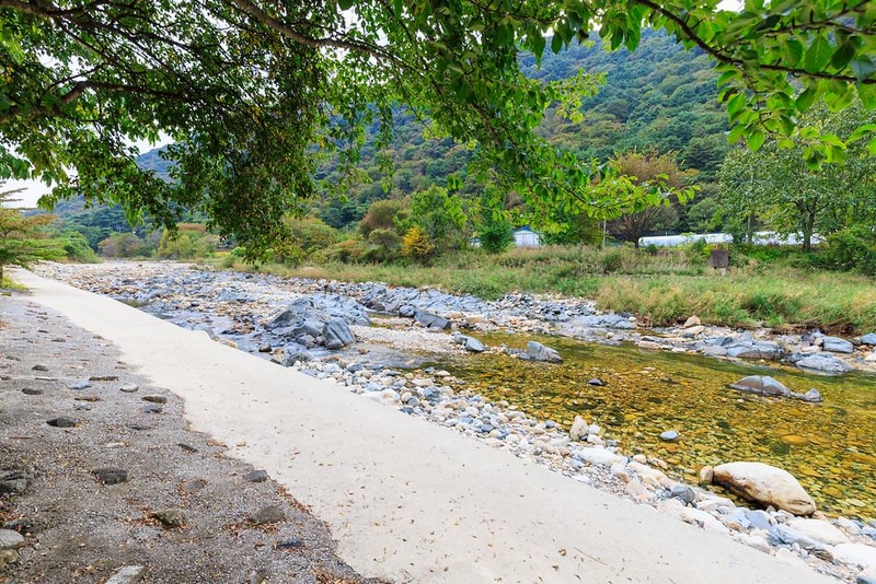 포레스트캐빈앤캠프 시설 사진 4