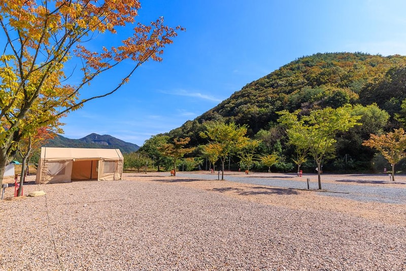 돌고래 오토 캠핑장 시설 사진 18