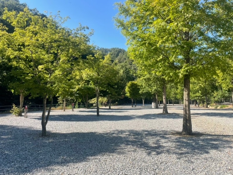 문경 캠핑장 추천 리우캠핑장 계곡, 수영장, 애견동반 가능