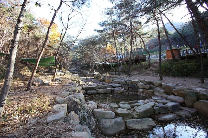 청계동 솔바람야영장 시설 사진 36