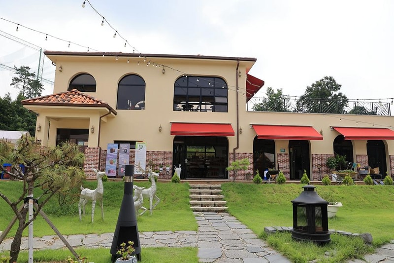 포레스트 도일 시설 사진 17