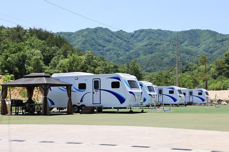 고성라벤더 캠핑장 대표 사진