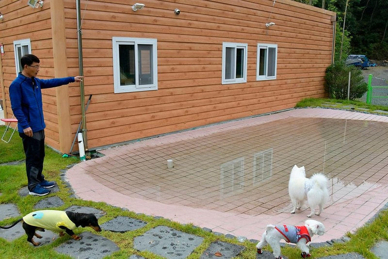 한별 도그파크 시설 사진 11