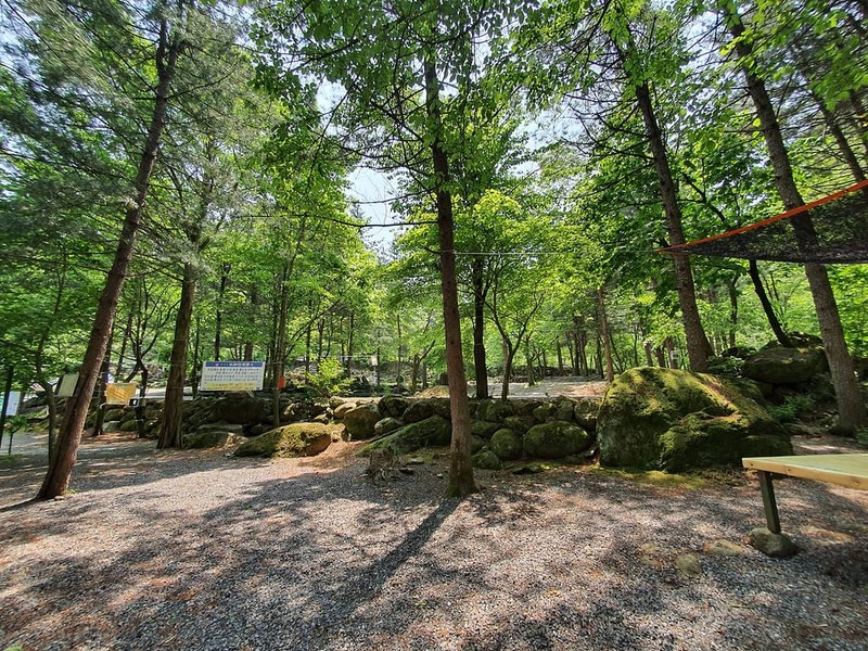 단양 천동계곡 캠핑장 그린농원 시설 사진 24