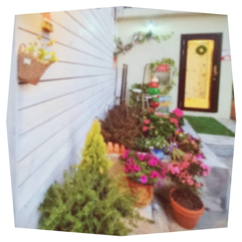 여수 굴전여가캠핑장 바다 전망과 신선한 굴 맛의 조화