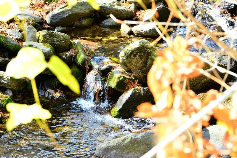 유명산라온캠핑장 시설 사진 10