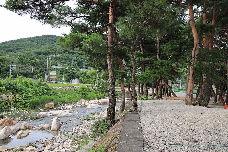 울산 힐링캠프 시설 사진 7