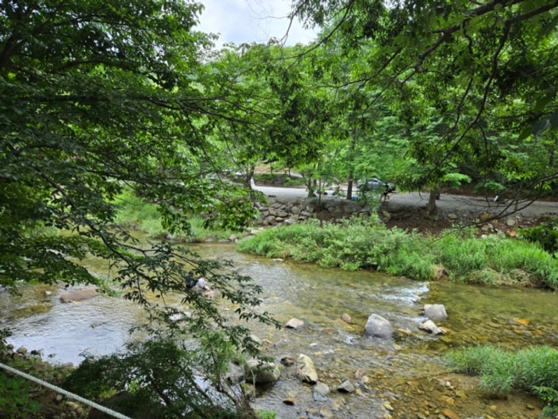양평 당일치기 계곡 캠핑장 노문야영장 서울근교 당일캠핑...