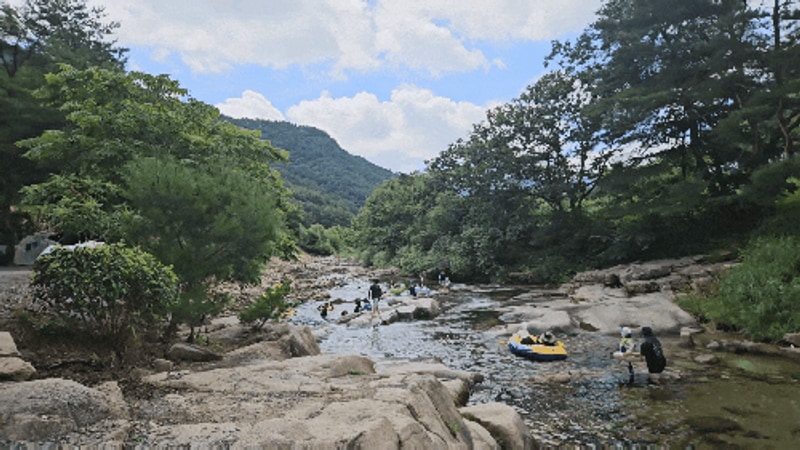 무릉도원 영월계곡캠핑 파라다이스캠핑장